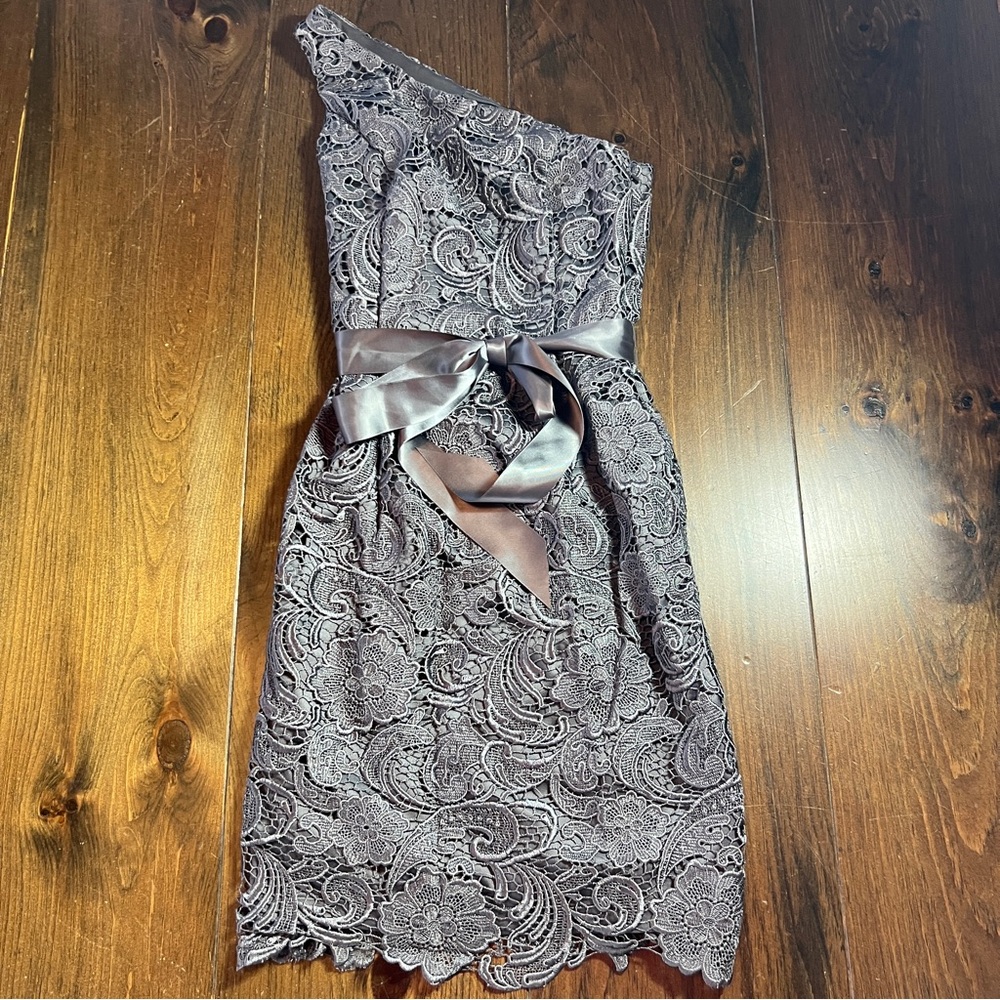 Adrianna Papell Elegant Lace One-Shoulder Dress